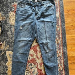 Lane Bryant jeweled jeans